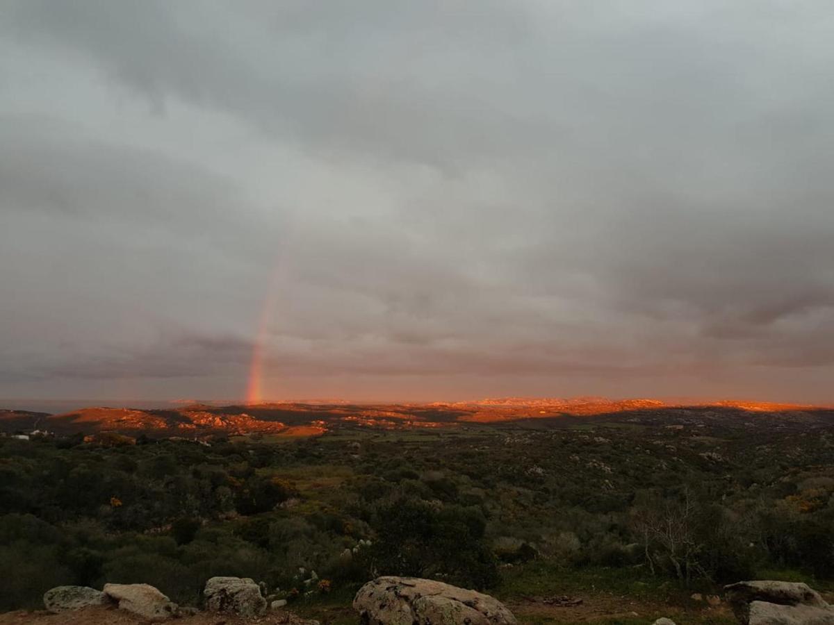 B&B Bell'alba Santa Teresa Gallura Dış mekan fotoğraf